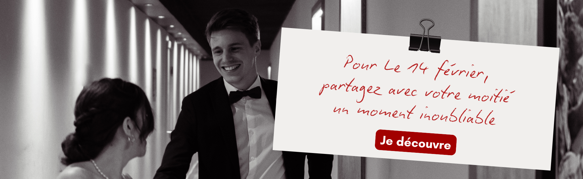 Découvrez toutes nos expériences